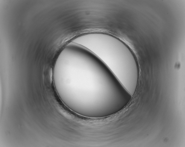 X0000094170013200710260919