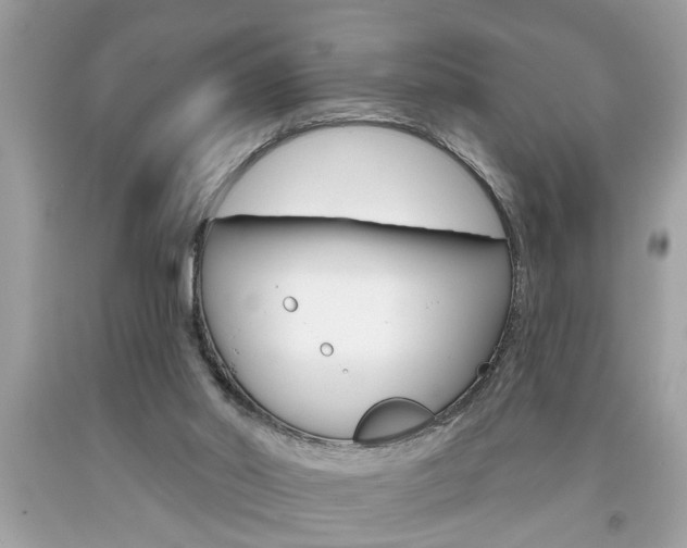 X0000094170014200710260919