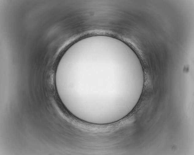 X0000094170016200710260919