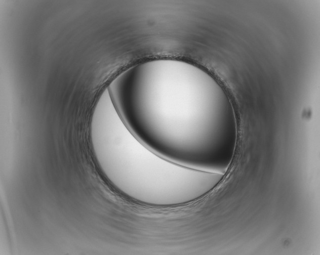 X0000094170017200710260919