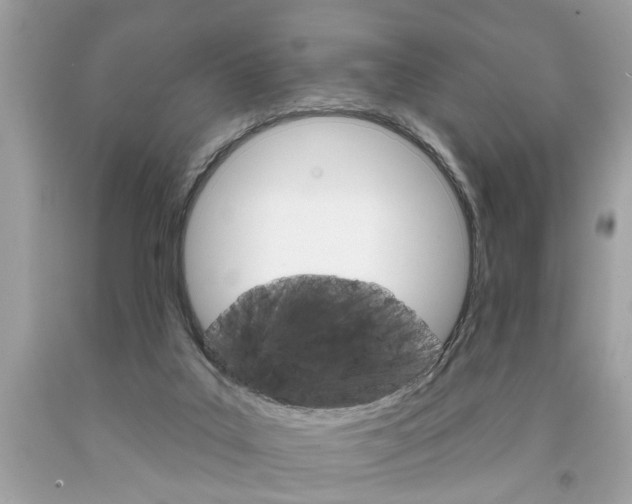 X0000094170019200710260919