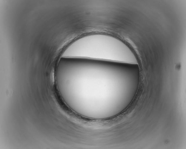 X0000094170020200710260919