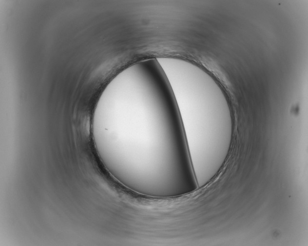 X0000094170021200710260919