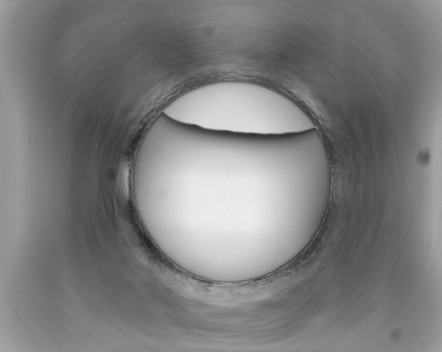 X0000094170022200710260919