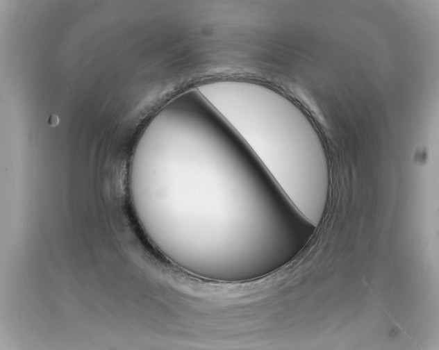 X0000094170023200710260919