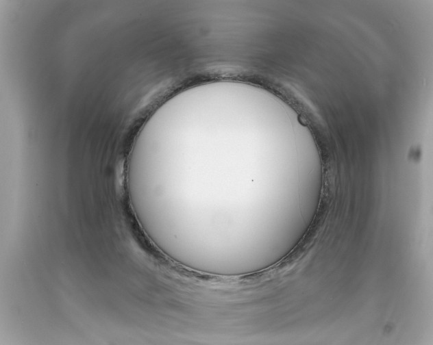 X0000094170024200710260919