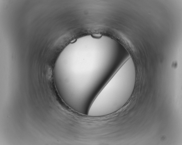 X0000094170025200710260919