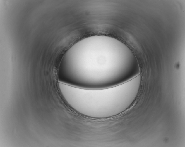 X0000094170029200710260919