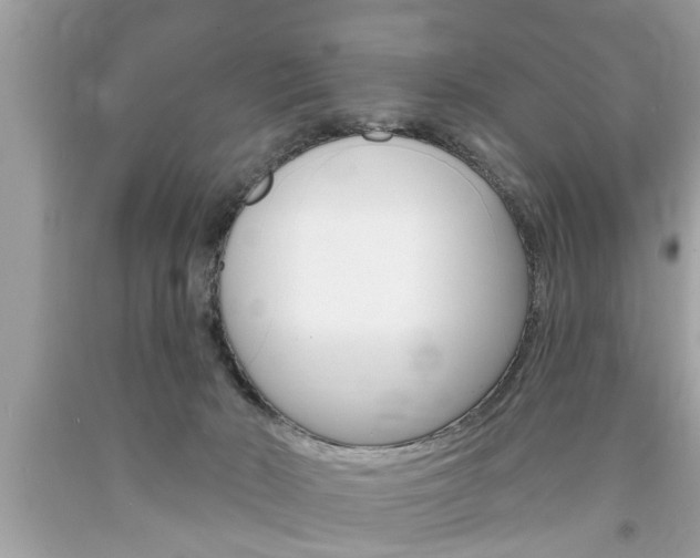 X0000094170030200710260919