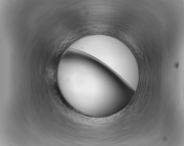 X0000094170031200710260919
