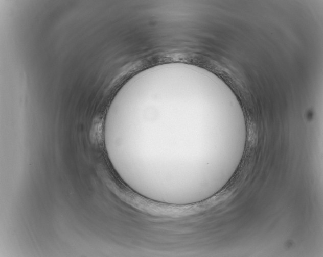 X0000094170036200710260919
