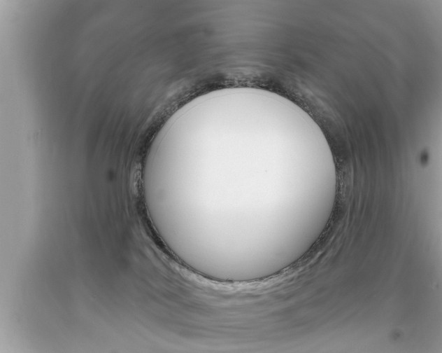 X0000094170038200710260919