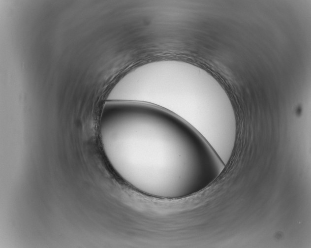 X0000094170039200710260919