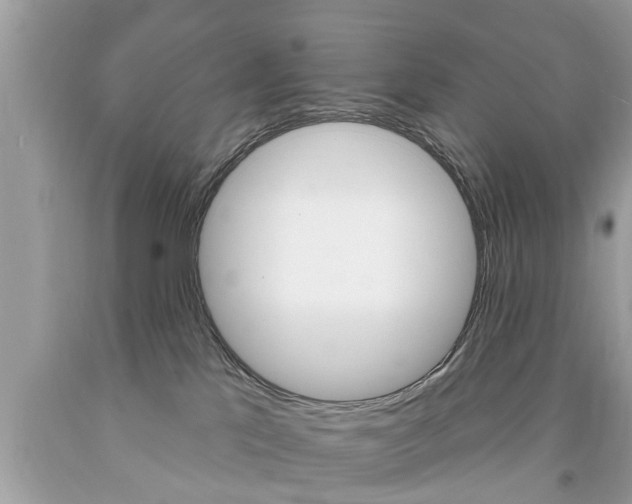X0000094170041200710260919
