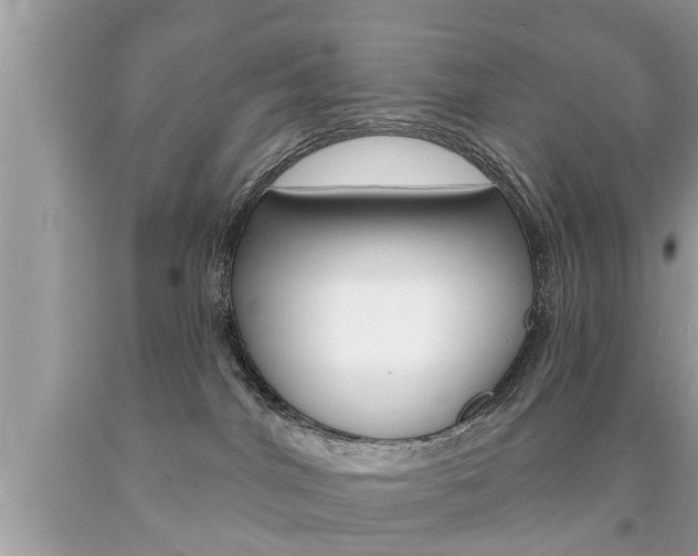 X0000094170044200710260919
