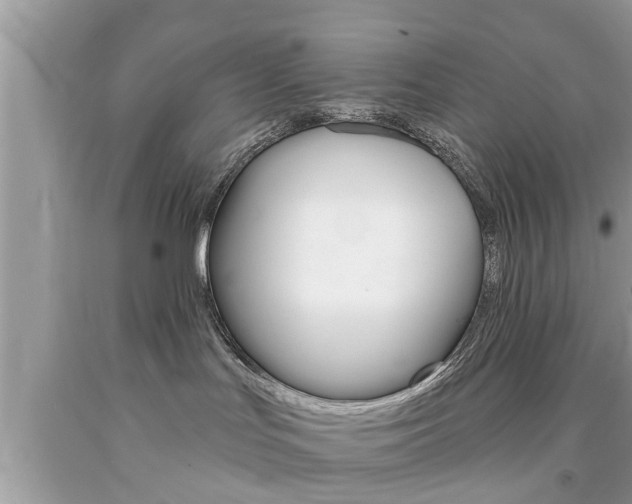 X0000094170047200710260919