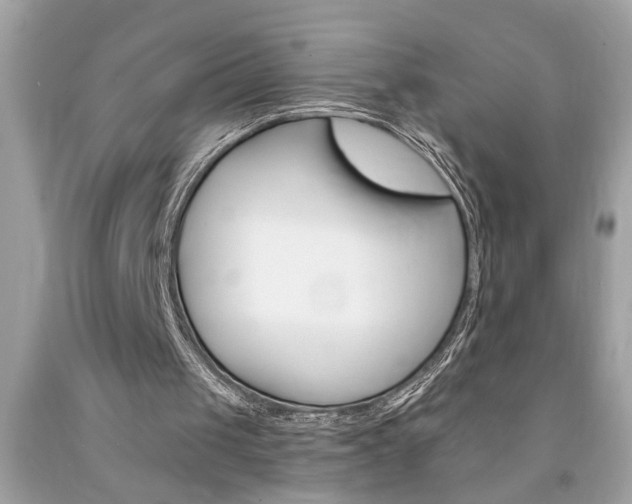 X0000094170049200710260918