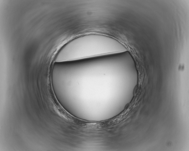 X0000094170050200710260918