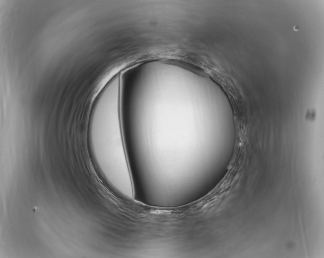 X0000094170052200710260918