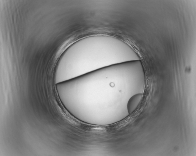 X0000094170053200710260918