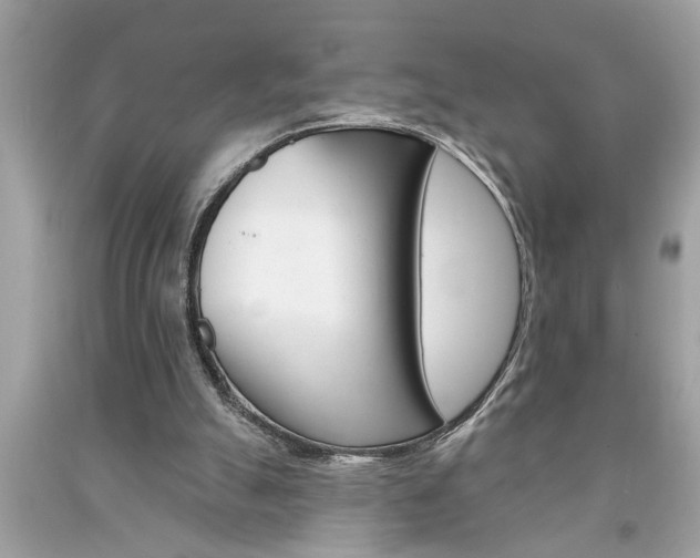 X0000094170055200710260918