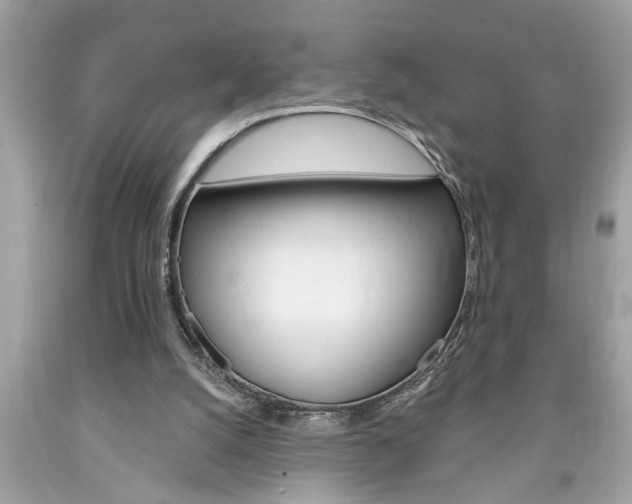 X0000094170056200710260918