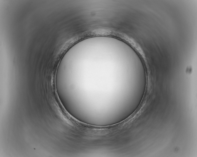X0000094170057200710260918
