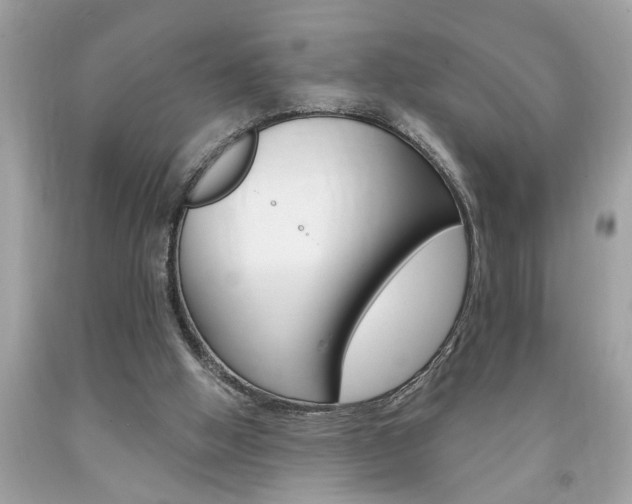 X0000094170058200710260918