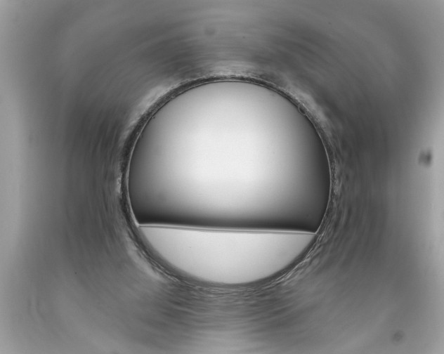 X0000094170060200710260918