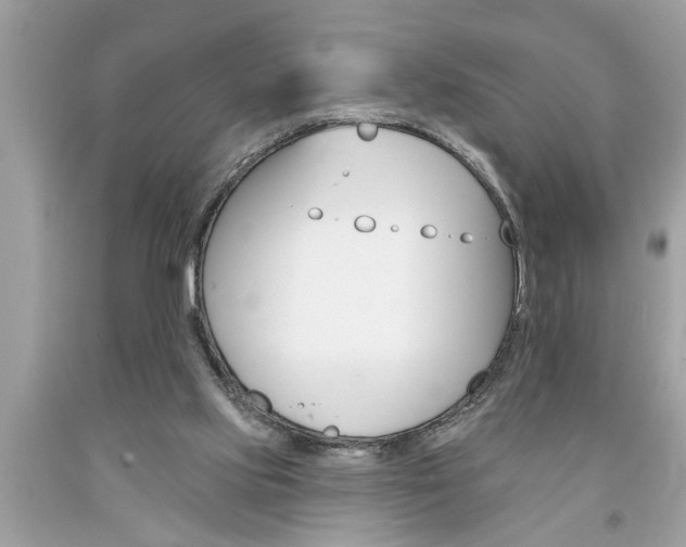 X0000094170061200710260918