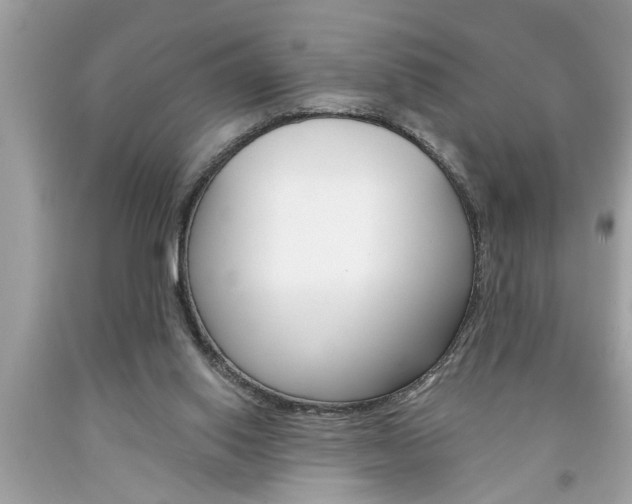 X0000094170062200710260918