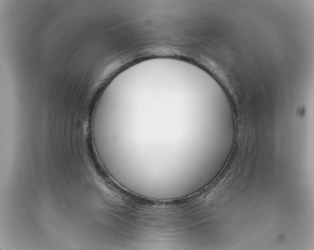 X0000094170063200710260918