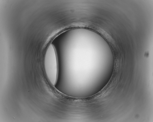 X0000094170064200710260918