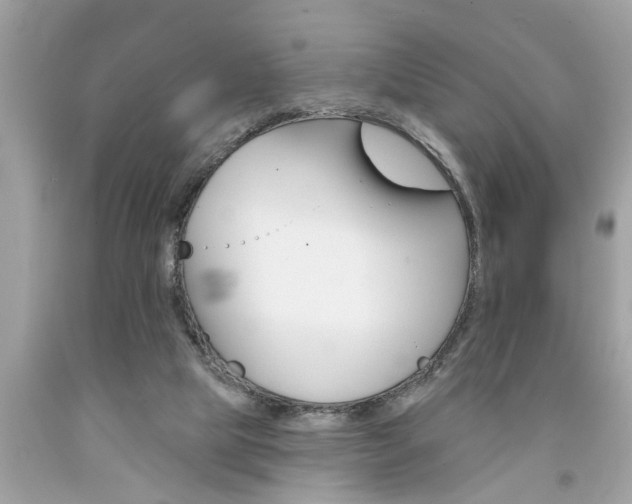 X0000094170065200710260918