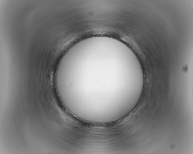 X0000094170066200710260918