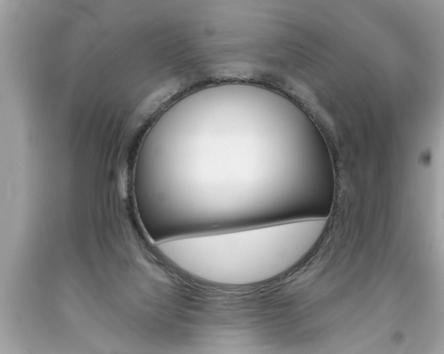 X0000094170068200710260918