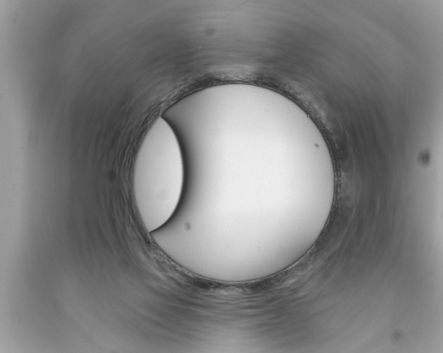 X0000094170069200710260918