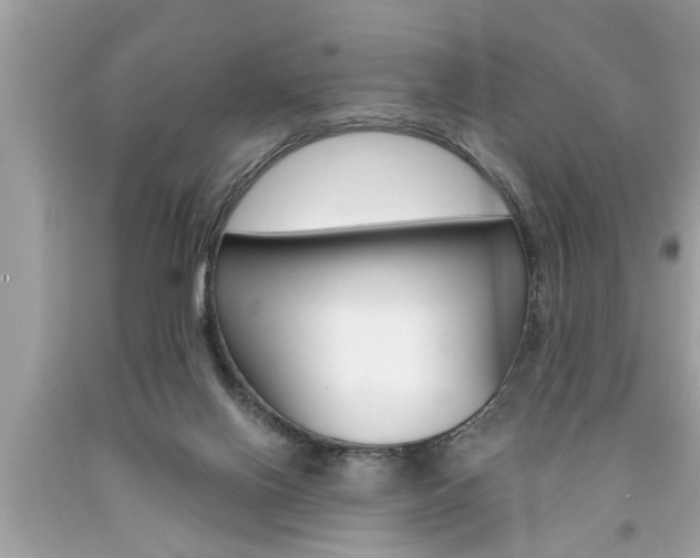 X0000094170070200710260918