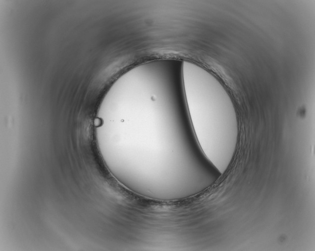 X0000094170071200710260918