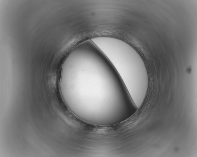 X0000094170072200710260918