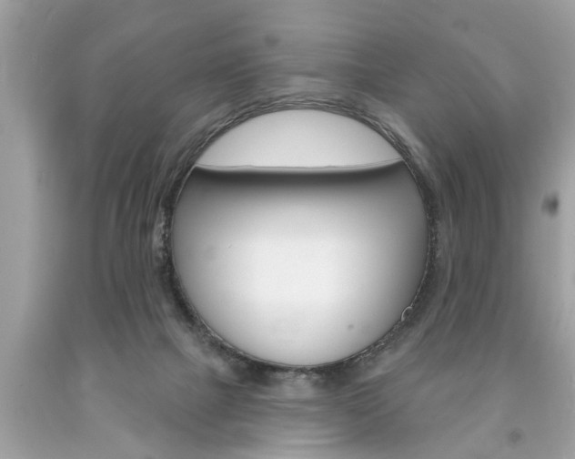 X0000094170073200710260918