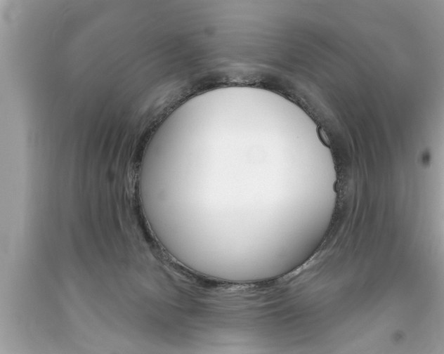X0000094170078200710260918
