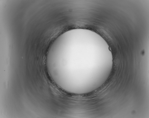 X0000094170079200710260918