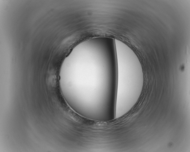 X0000094170080200710260918