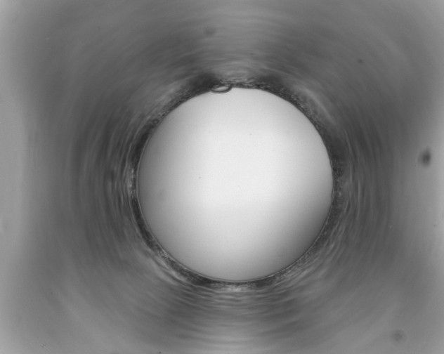 X0000094170081200710260918