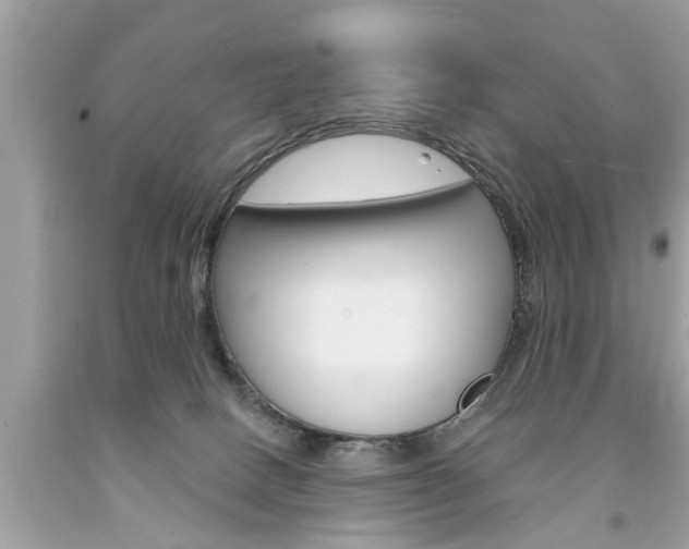 X0000094170082200710260918