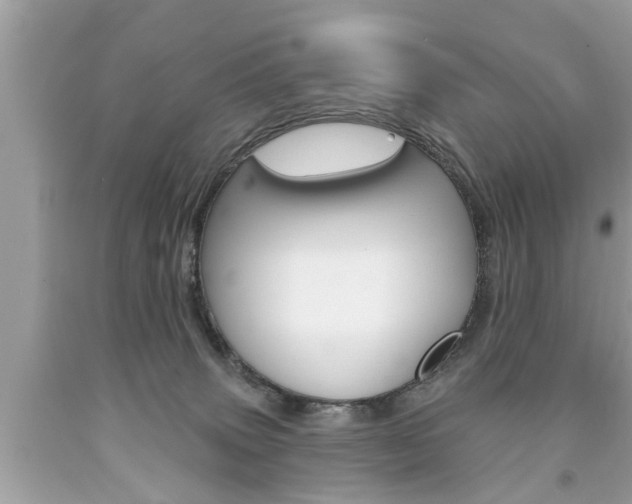 X0000094170083200710260918