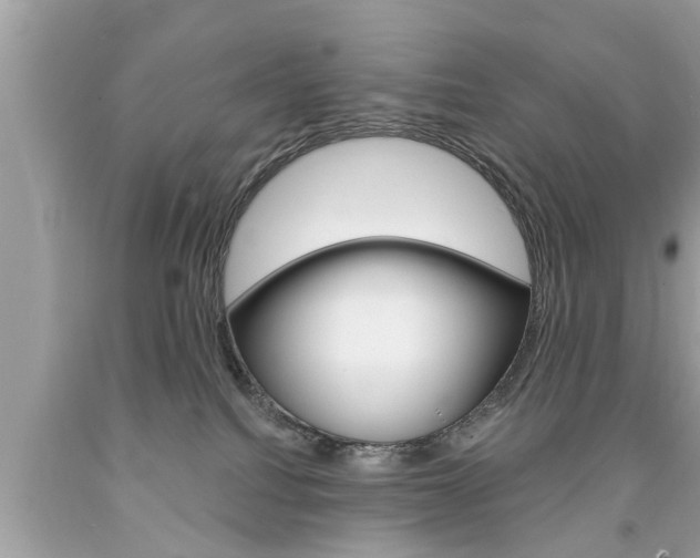 X0000094170088200710260918