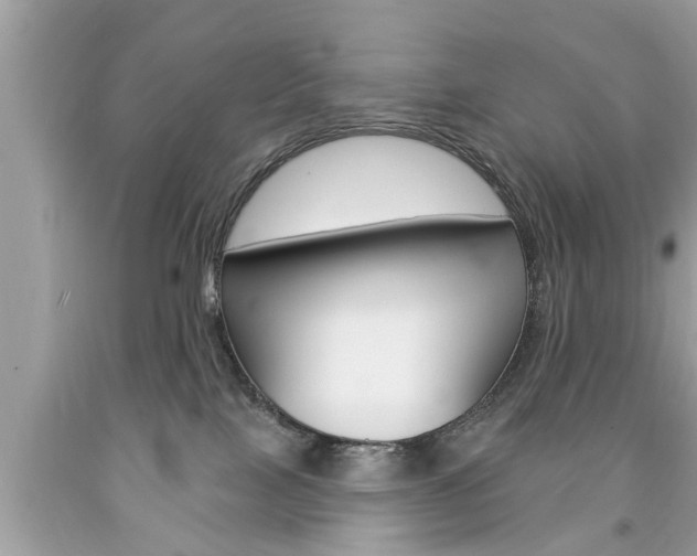 X0000094170089200710260918
