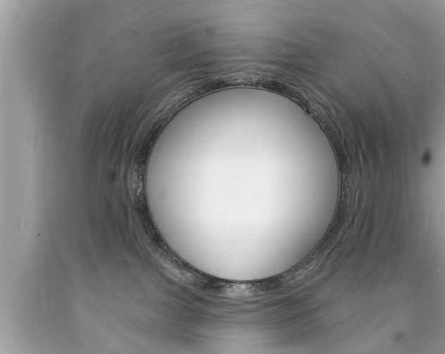 X0000094170091200710260919